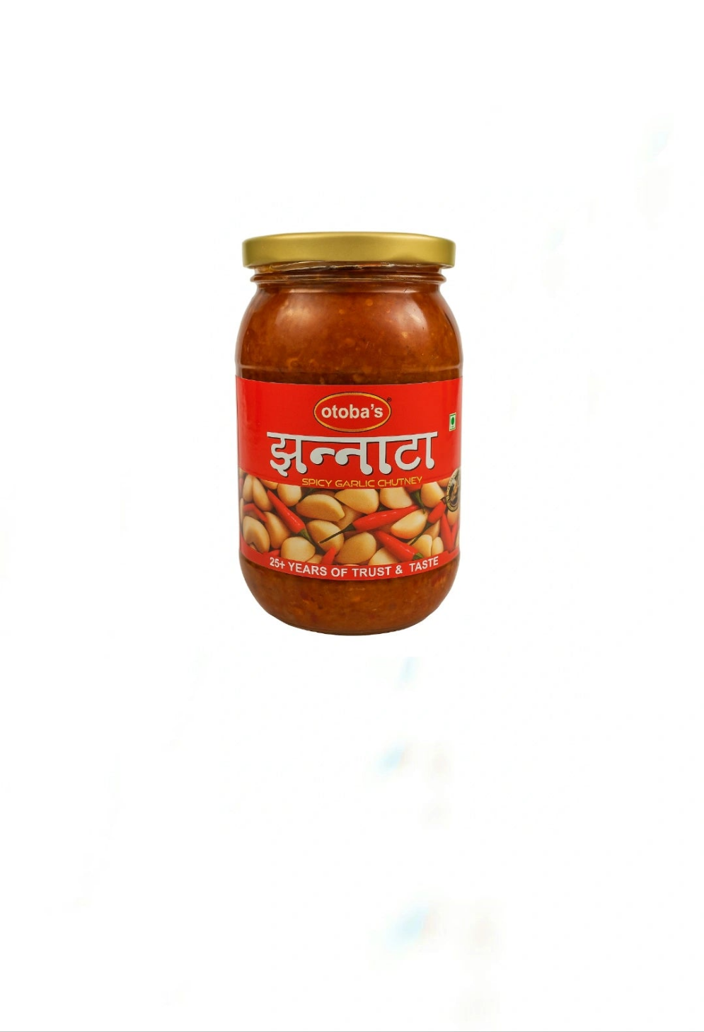 Rajasthani Spicy Garlic Chutney | lahsun Chutney | Jhannata 400g.
