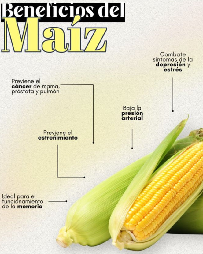 Maize Daliya | Makki Daliya | Sortex Clean 400g.