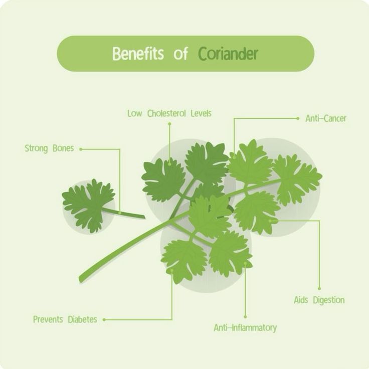 Coriander powder | Dhaniya powder 900g.