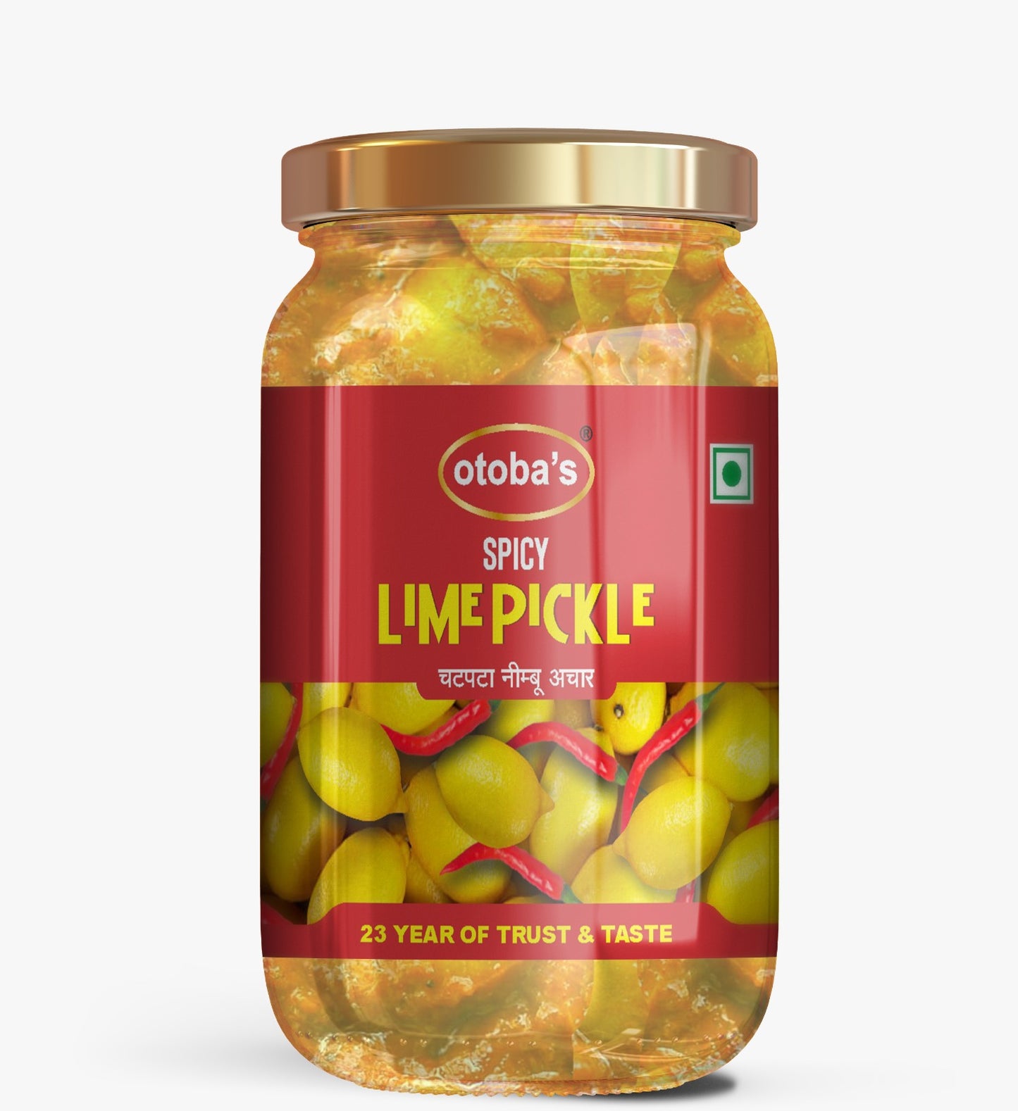 Rajasthani Homemade Pickle Combo of 6 400g Jar - otoba's foods 