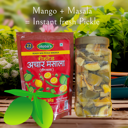 INSTANT READY TO MAKE MANGO PICKLE PREMIX