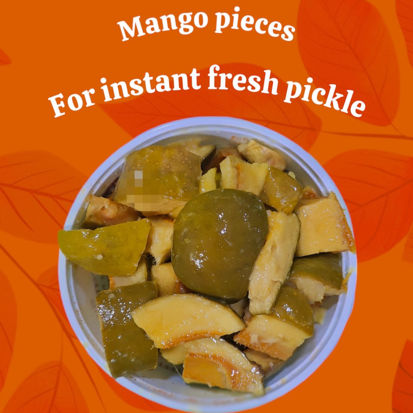 INSTANT READY TO MAKE MANGO PICKLE PREMIX