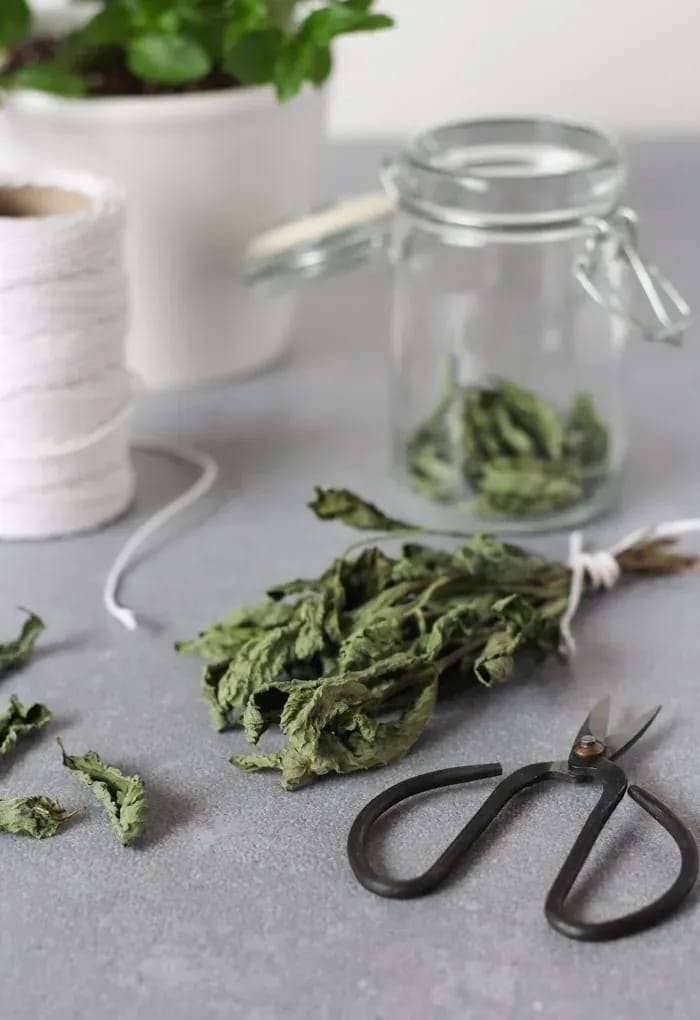 Dry Mint Leaves | Sukha Pudina 100g.