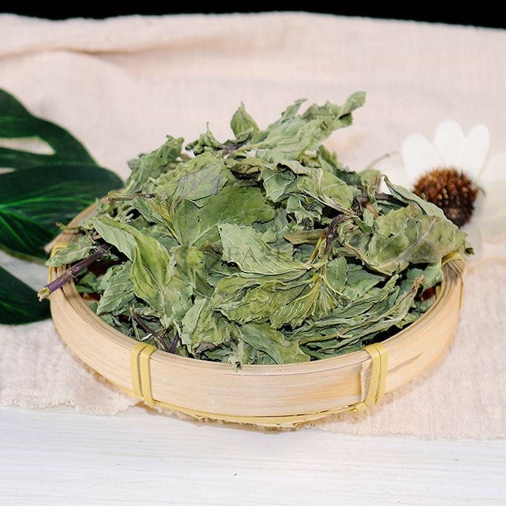 Dry Mint Leaves | Sukha Pudina 100g.