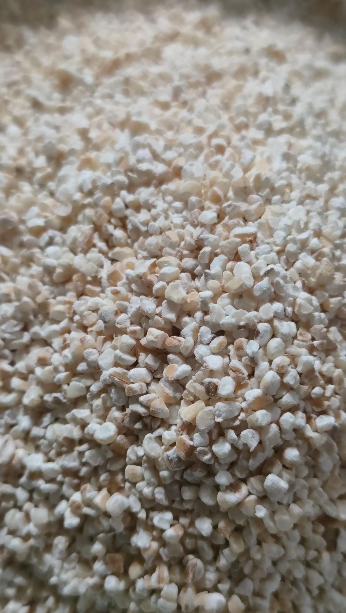Jau Daliya| Barley Daliya | Pearl Millet Daliya| Porridge| sortex clean 400g.