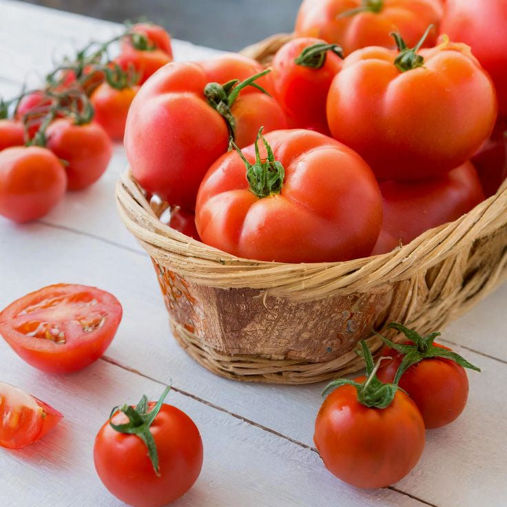 Jain Tomato Sauce | Jain Tomato Ketchup 400g.