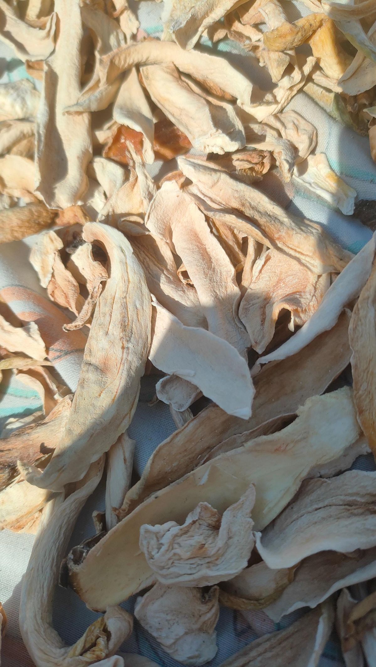 Amchur Dry Slices| Dry Mango Slices | Sabut Amchur | 100g.